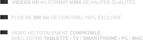 PLUS DE 500 Go DE CONTENU 100% EXCLUSIF VIDEO HD TOTALEMENT COMPATIBLE AVEC VOTRE TABLETTE / TV / SMARTPHONE / PC / MAC  VIDEOS HD AU FORMAT H264 DE HAUTES QUALITES