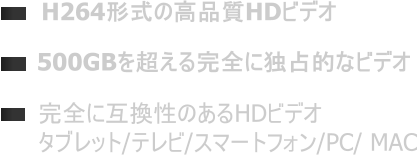 500GBを超える完全に独占的なビデオ 完全に互換性のあるHDビデオ タブレット/テレビ/スマートフォン/PC/ MAC  H264形式の高品質HDビデオ